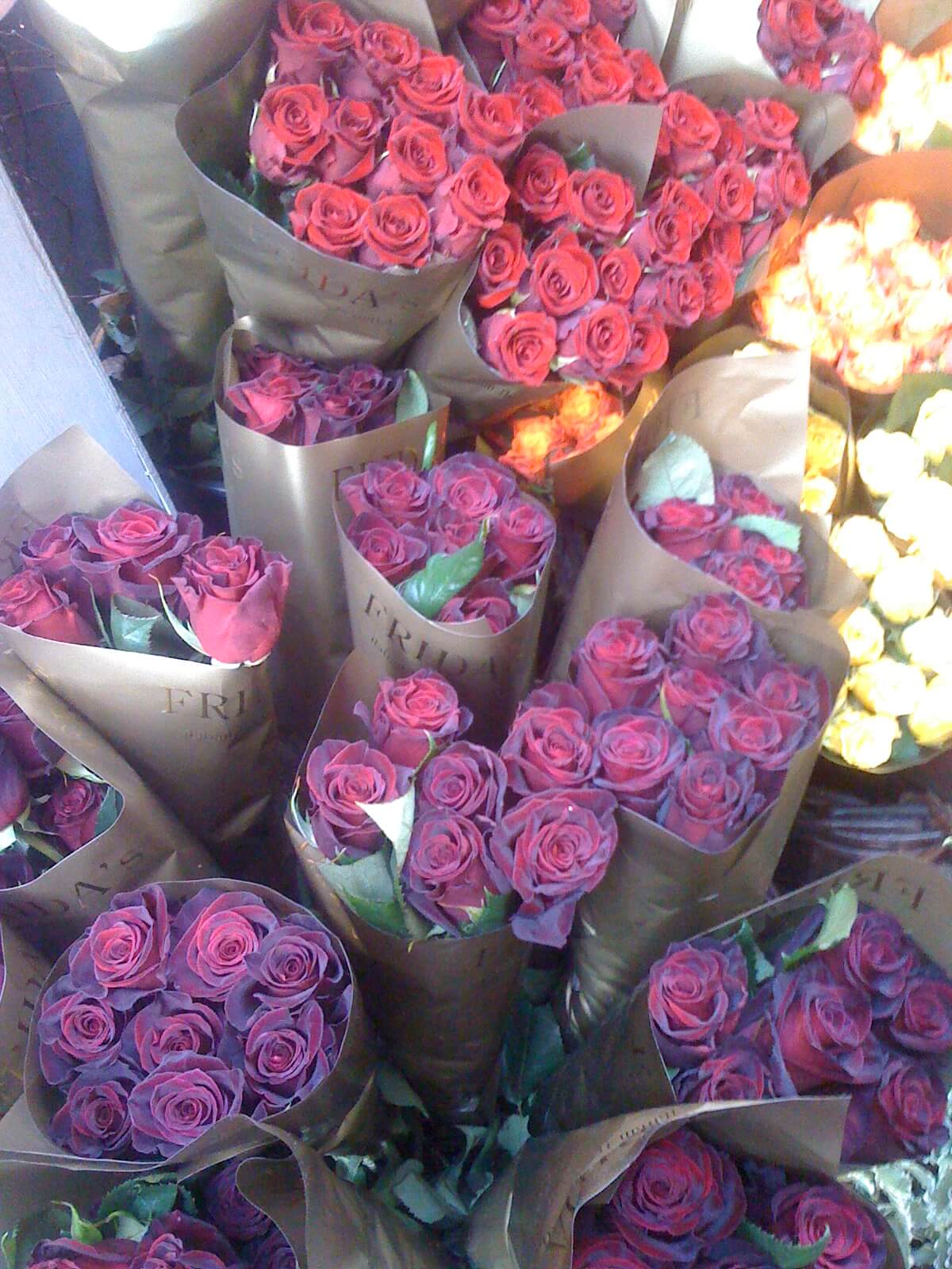 779