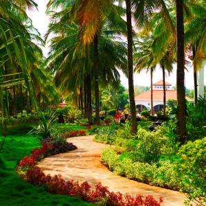 winding path
