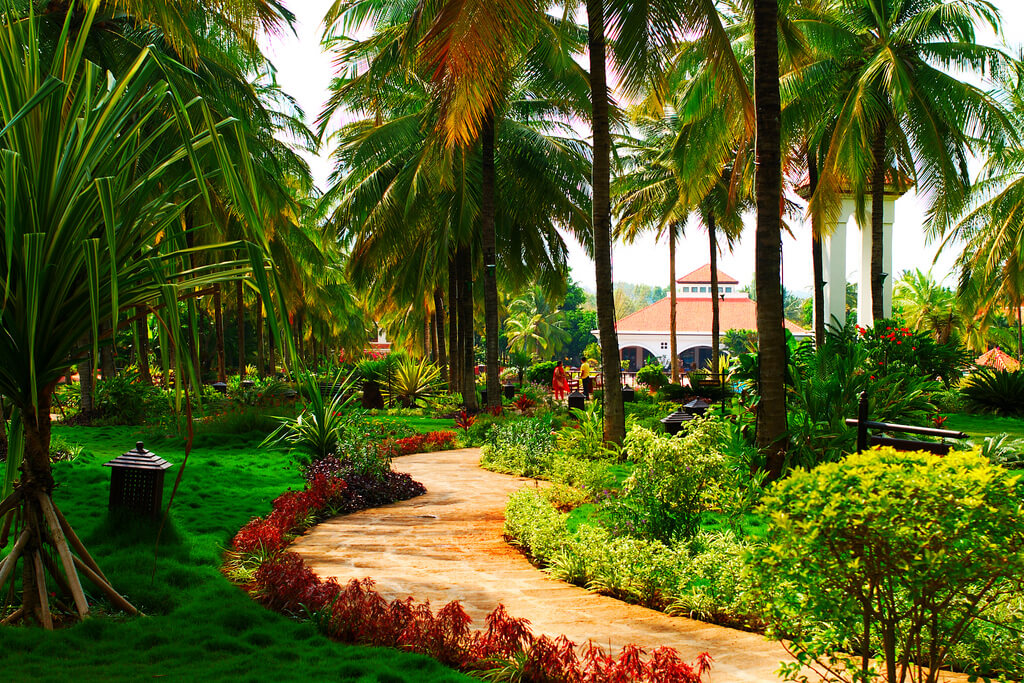 winding path