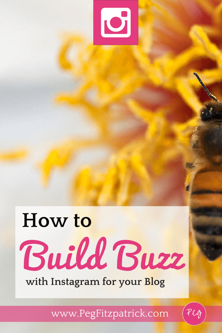Blog tips! Instagram is super fun but are you using it to build buzz and bring traffic to your blog? Here's a host of tips to drive traffic to your blog from Instagram.