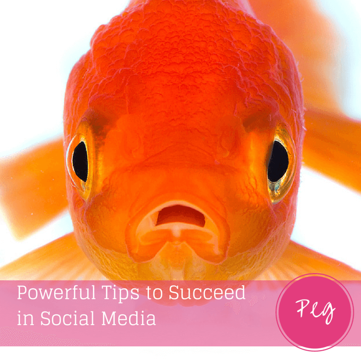 Powerful Tips to Succeed in Social Media