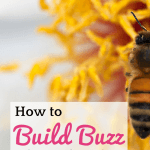 How to Build Buzz with Instagram for your Blog