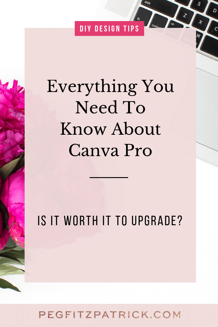 Everything You Need To Know About Canva Pro