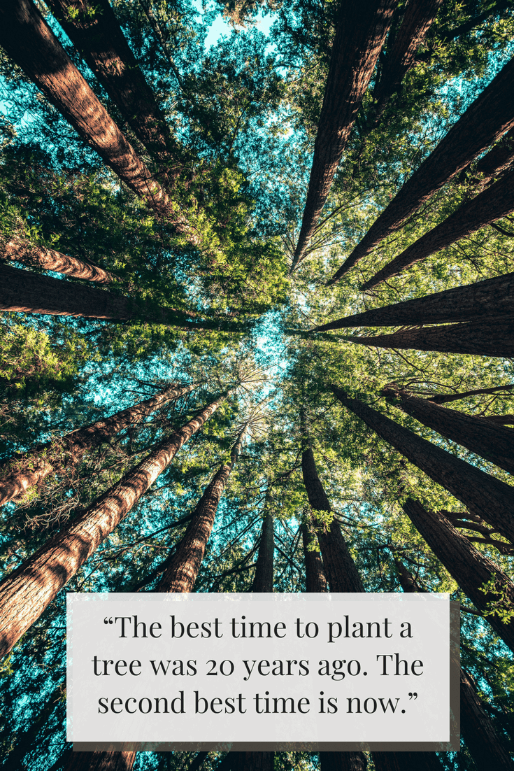 "The best time to plant a tree was 20 years ago. The second best time is now." --Chinese proverb